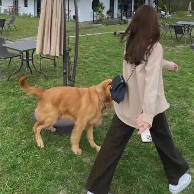 疾走王子
